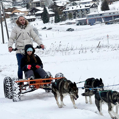 Hundewagen-2023-visoparents