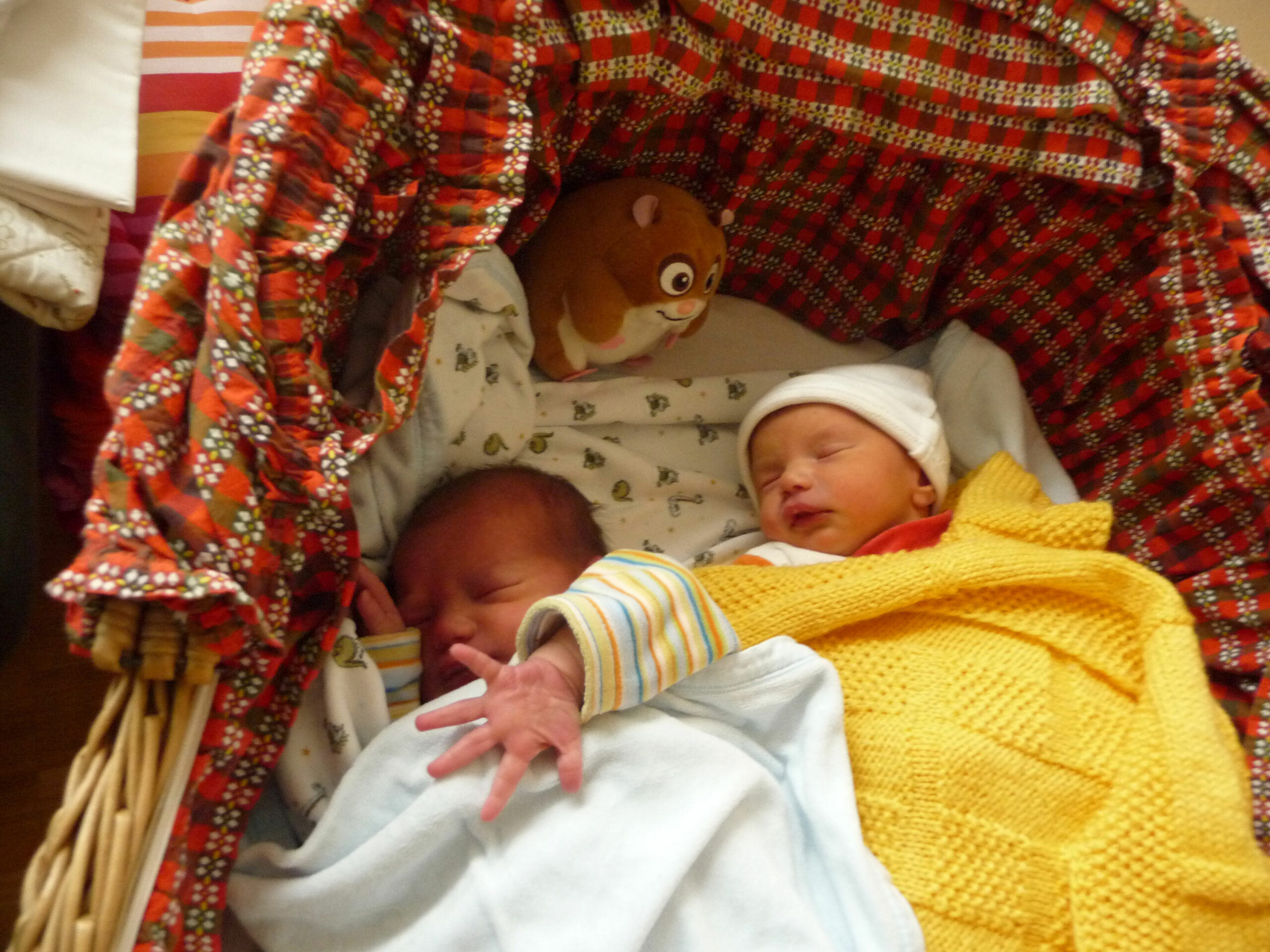 mama-bloggt-blog-diagnose-imago