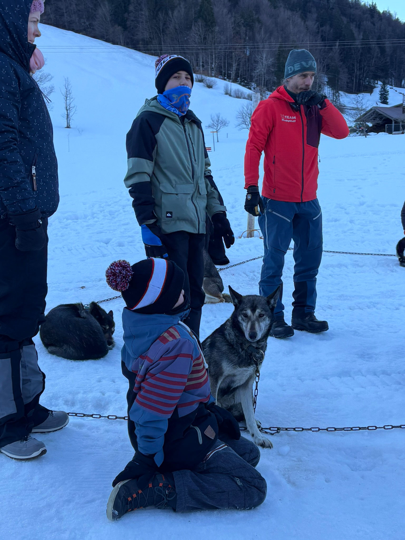 anlass-hundeschlittenfahrt-2026-blog