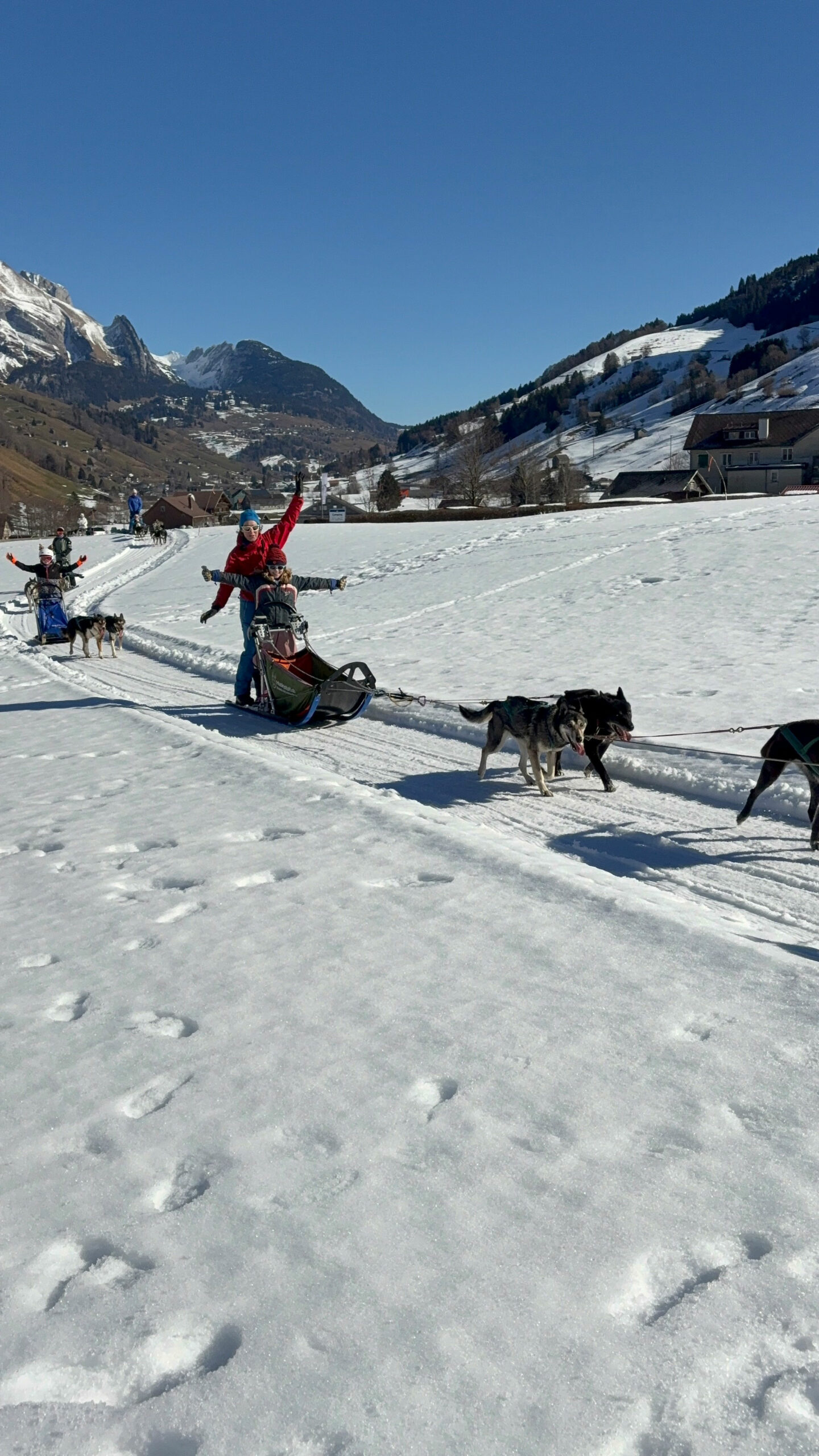 anlass-hundeschlittenfahrt-2026-blogpost
