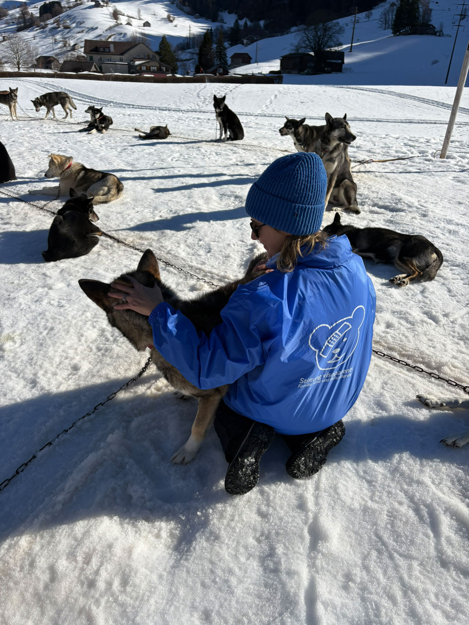 anlass-hundeschlittenfahrt-2026-veranstaltung