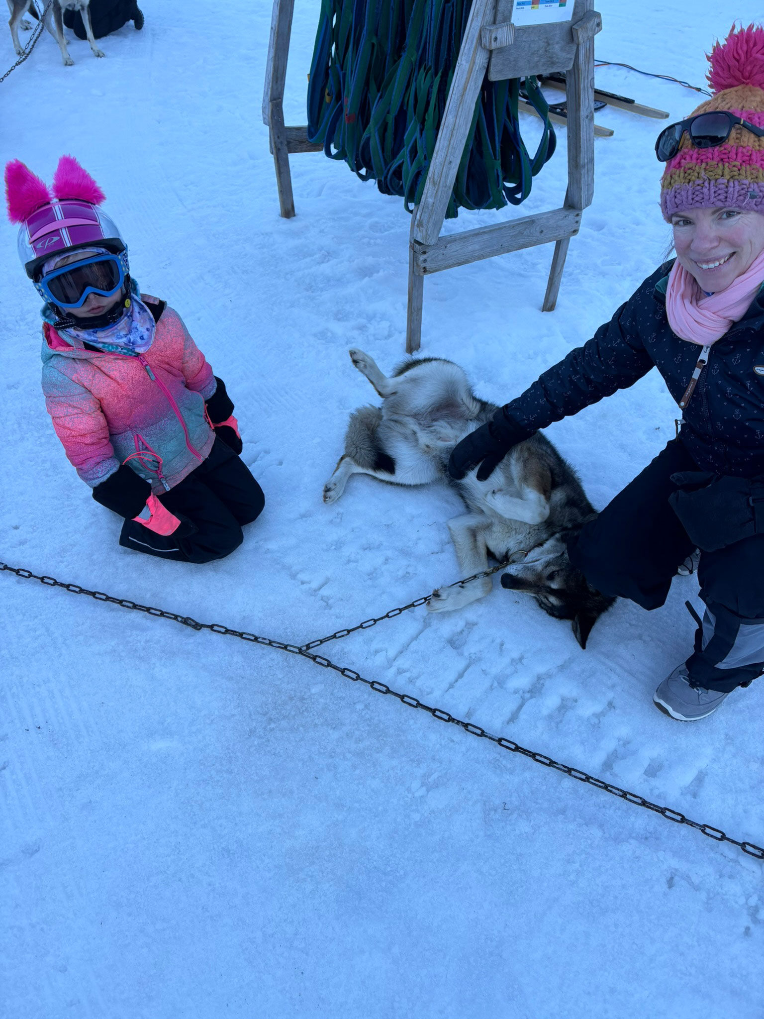 anlass-hundeschlittenfahrt-2026
