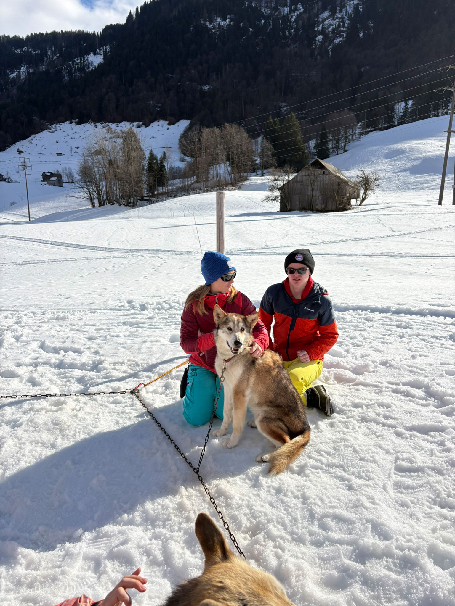 hundeschlitten-2026-blog