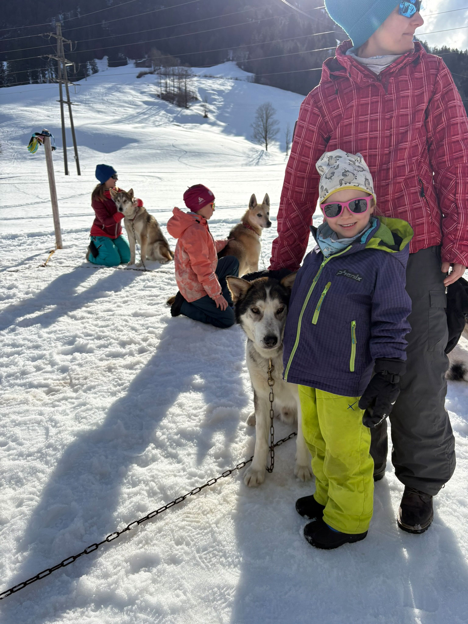 hundeschlitten-2026-blogbeitrag