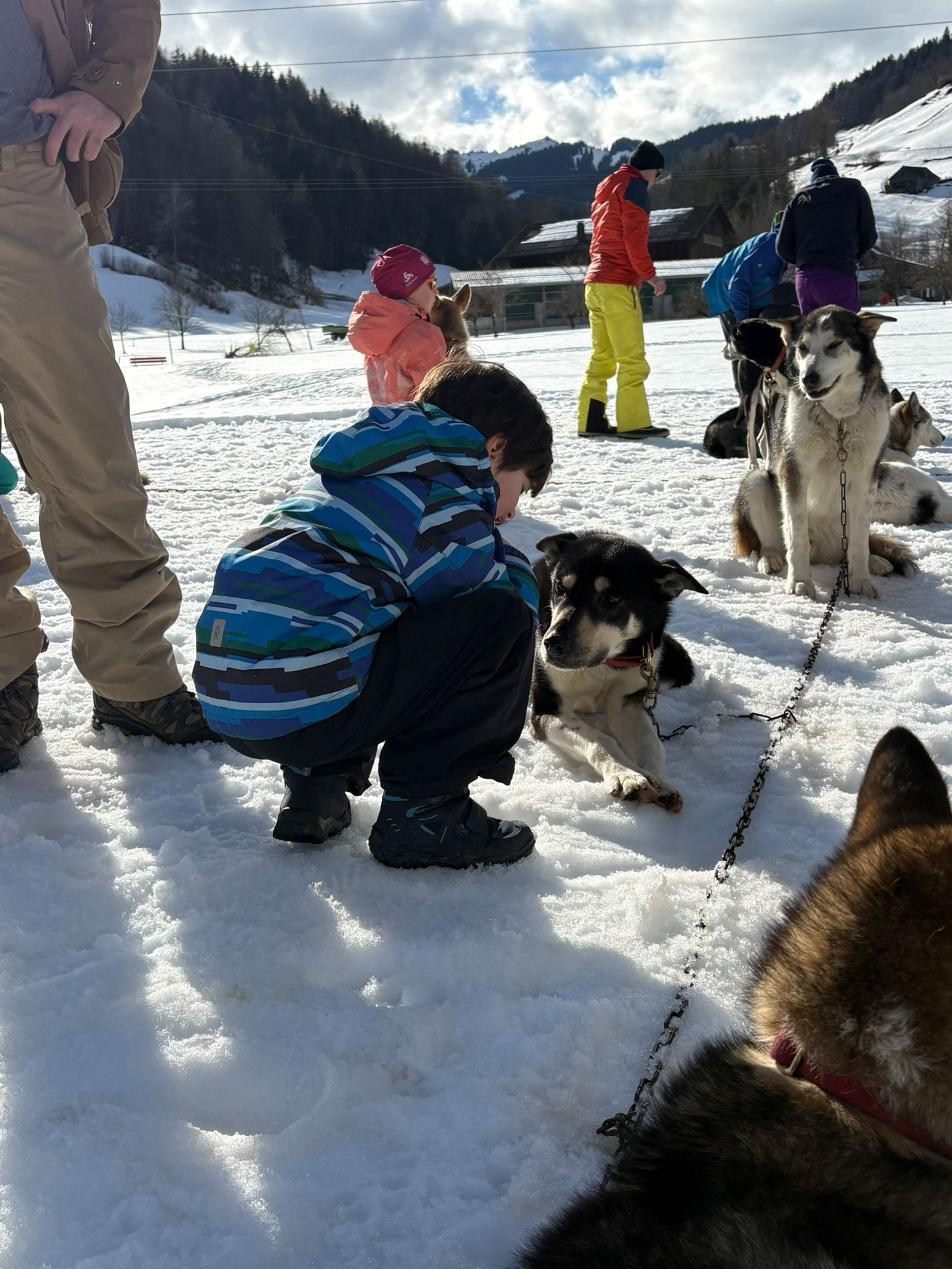 hundeschlitten-2026-blogpost