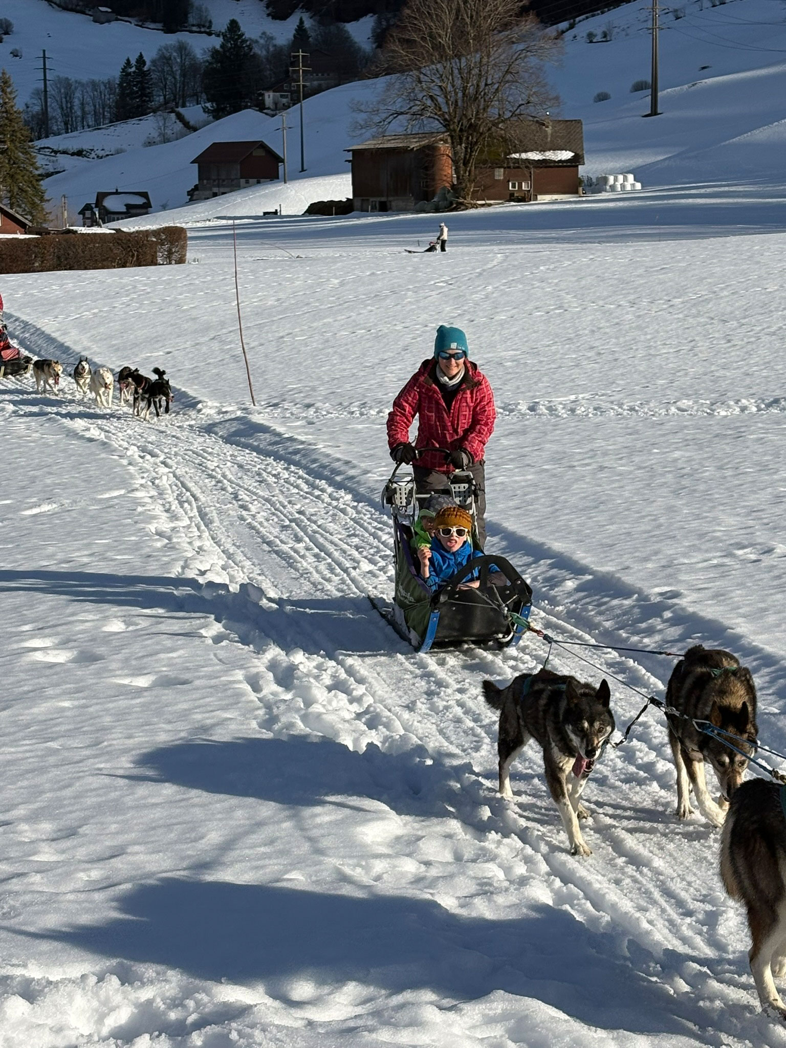 hundeschlittenfahrt-2026-anlass-blogpost