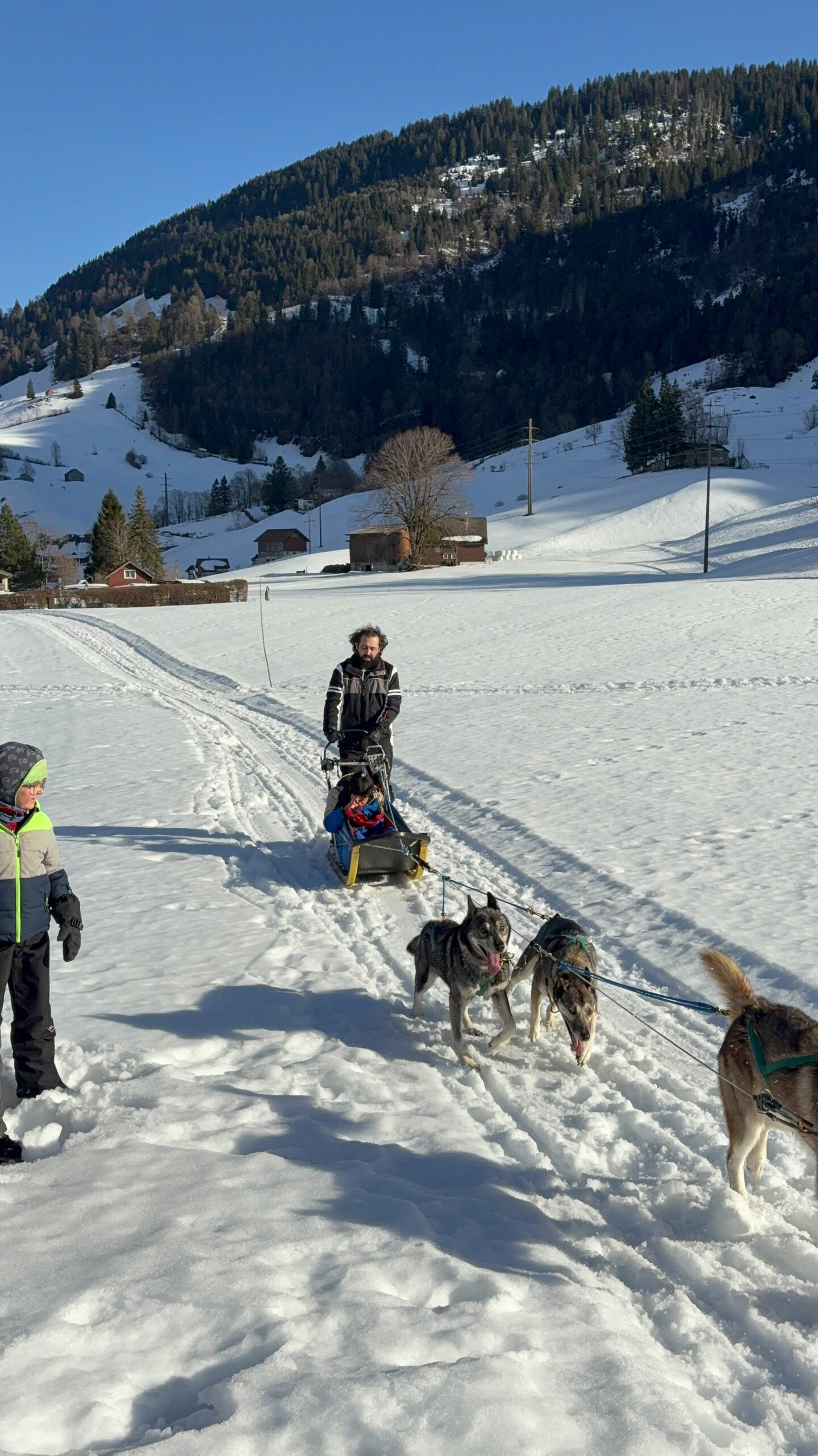 hundeschlittenfahrt-2026-anlass