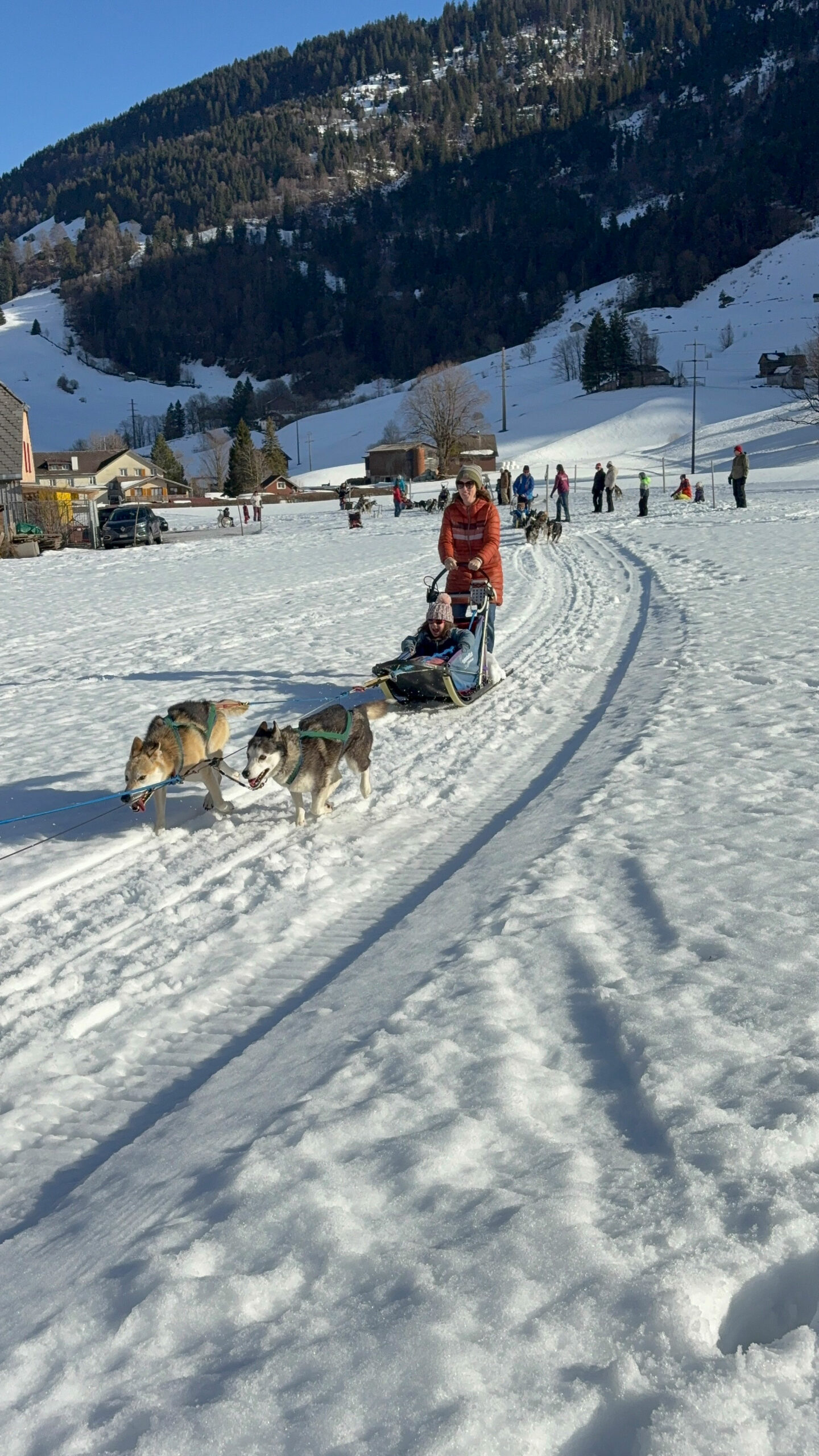 hundeschlittenfahrt-2026-blogbeitrag-anlass