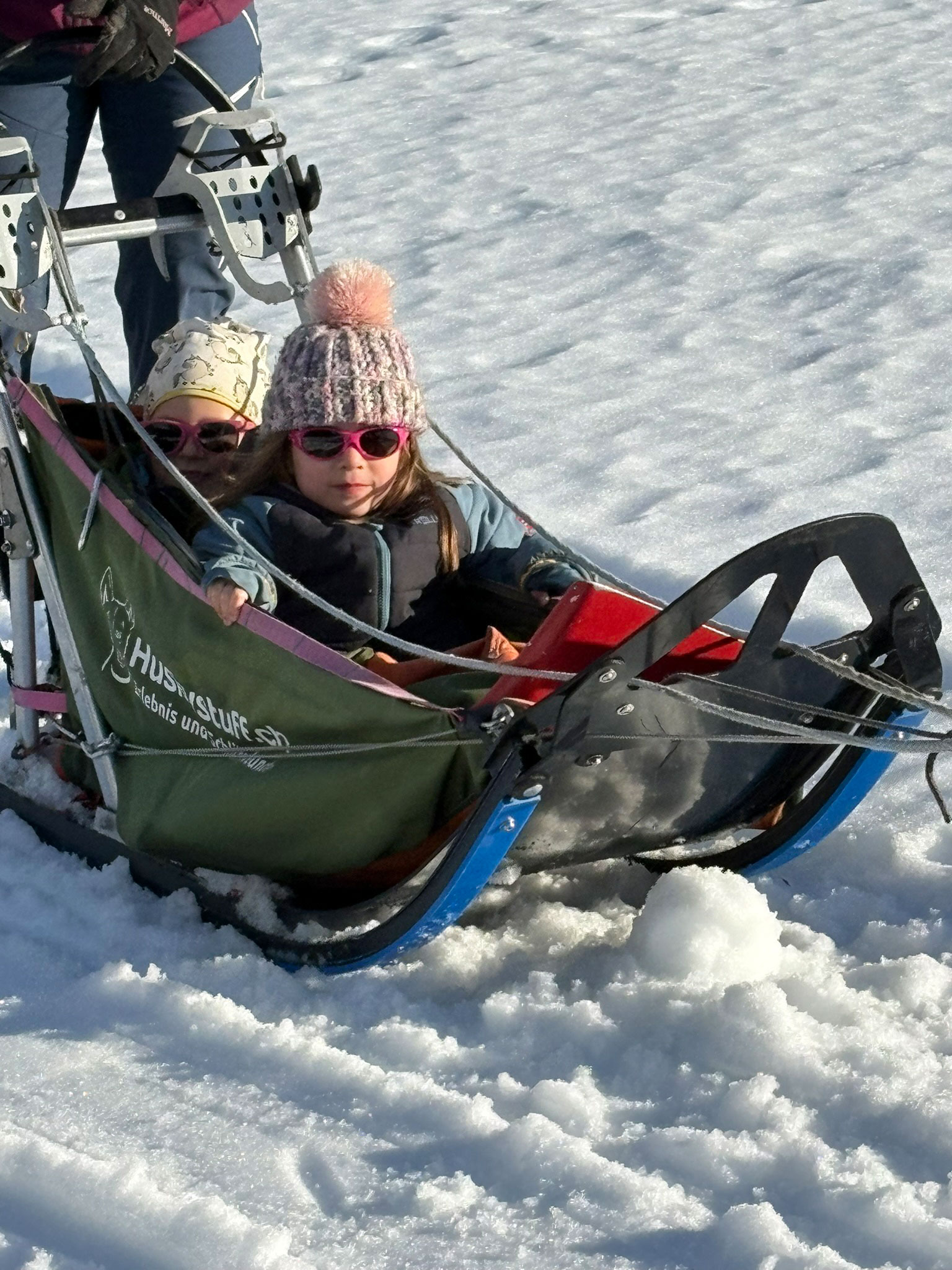 hundeschlittenfahrt-anlass-2026-blog