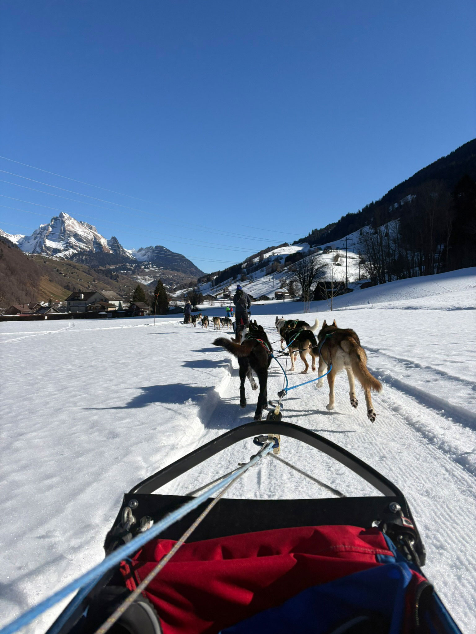 hundeschlittenfahrt-veranstaltung-blog-2026