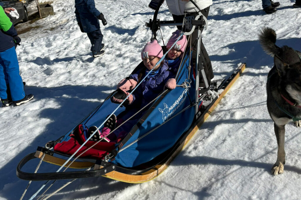 rueckblick-hundeschlitten-2026