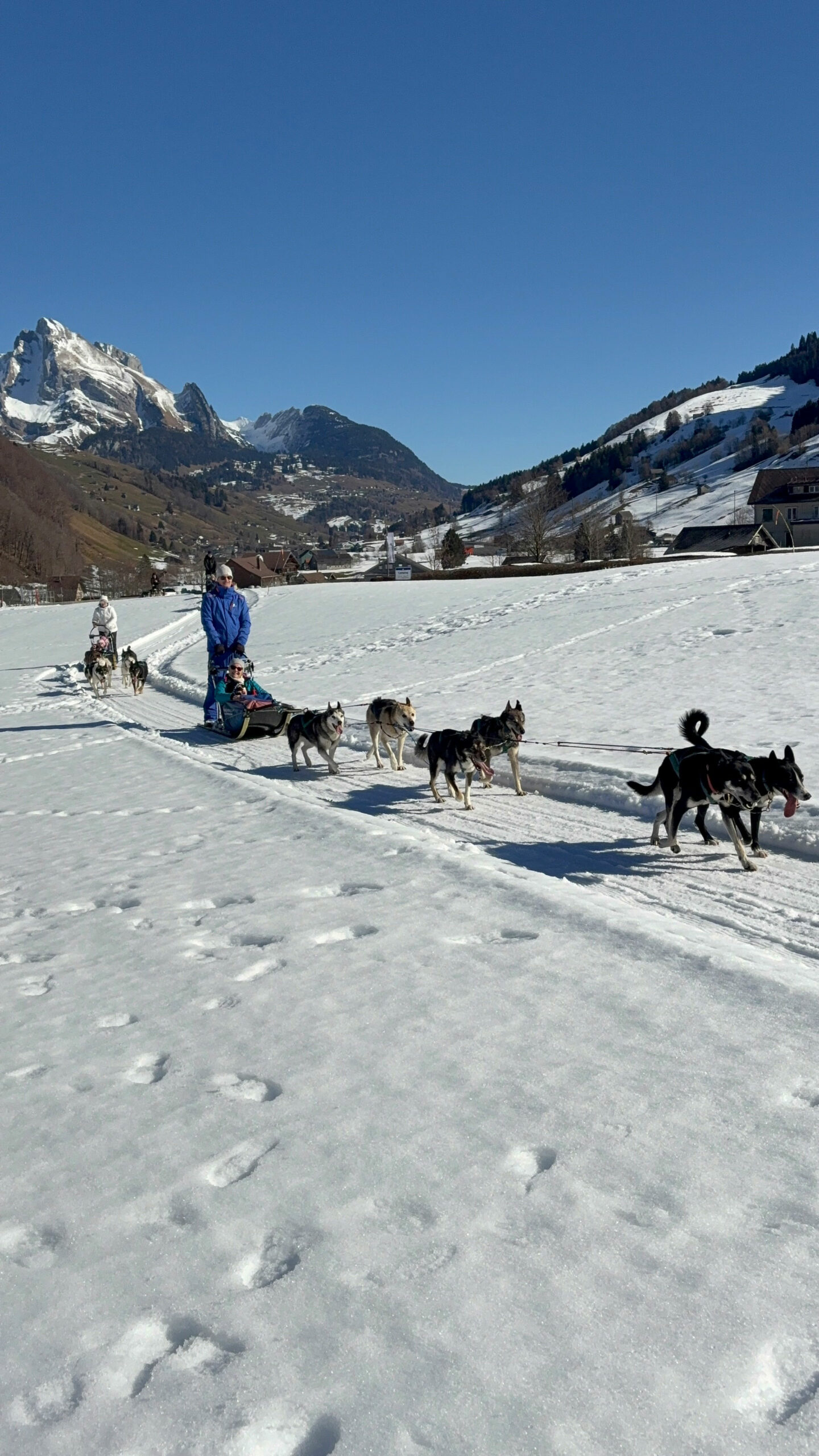 veranstaltung-hundeschlitten-2026-blogbeitrag
