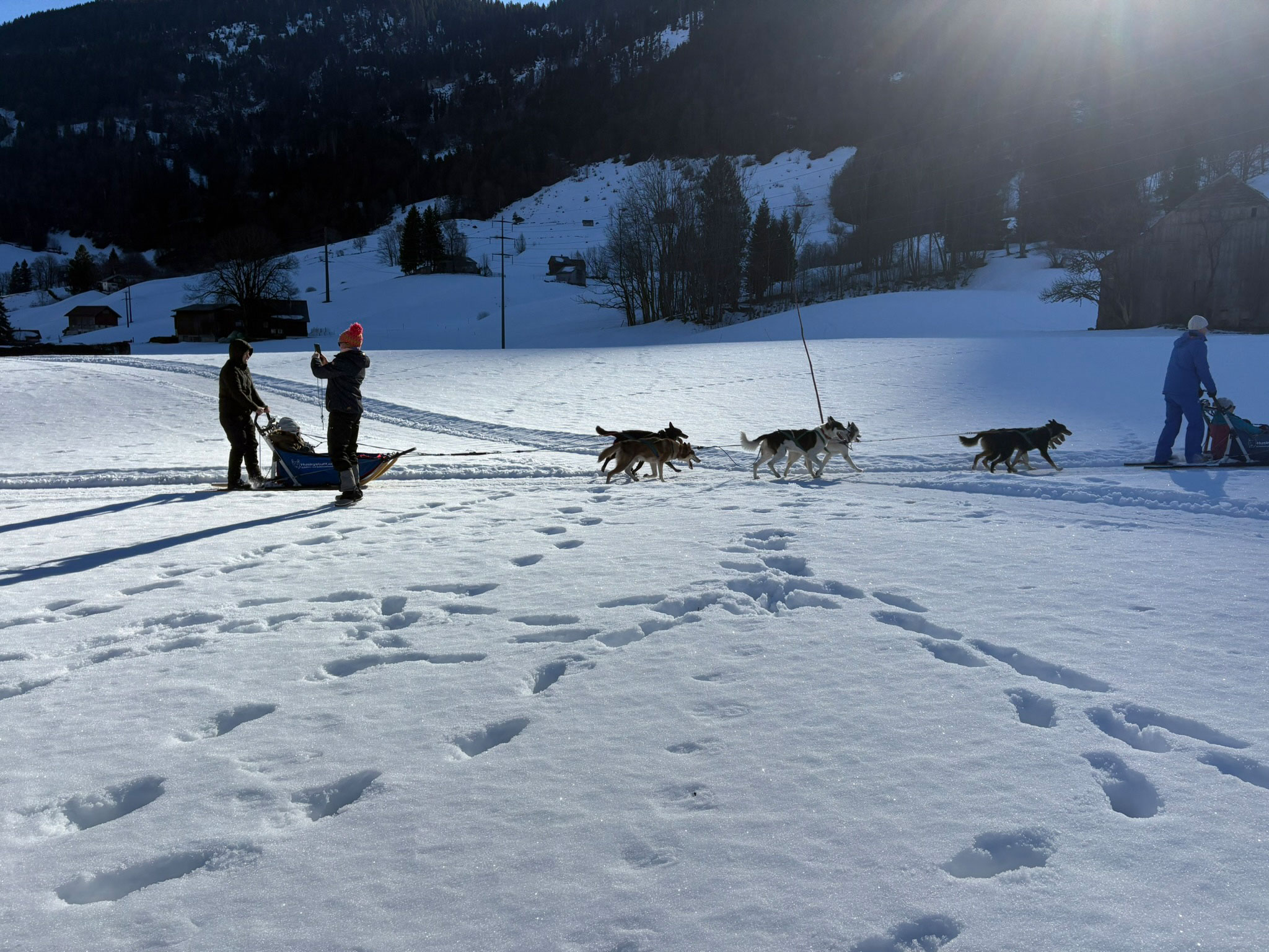 veranstaltung-hundeschlitten-2026-blogpost
