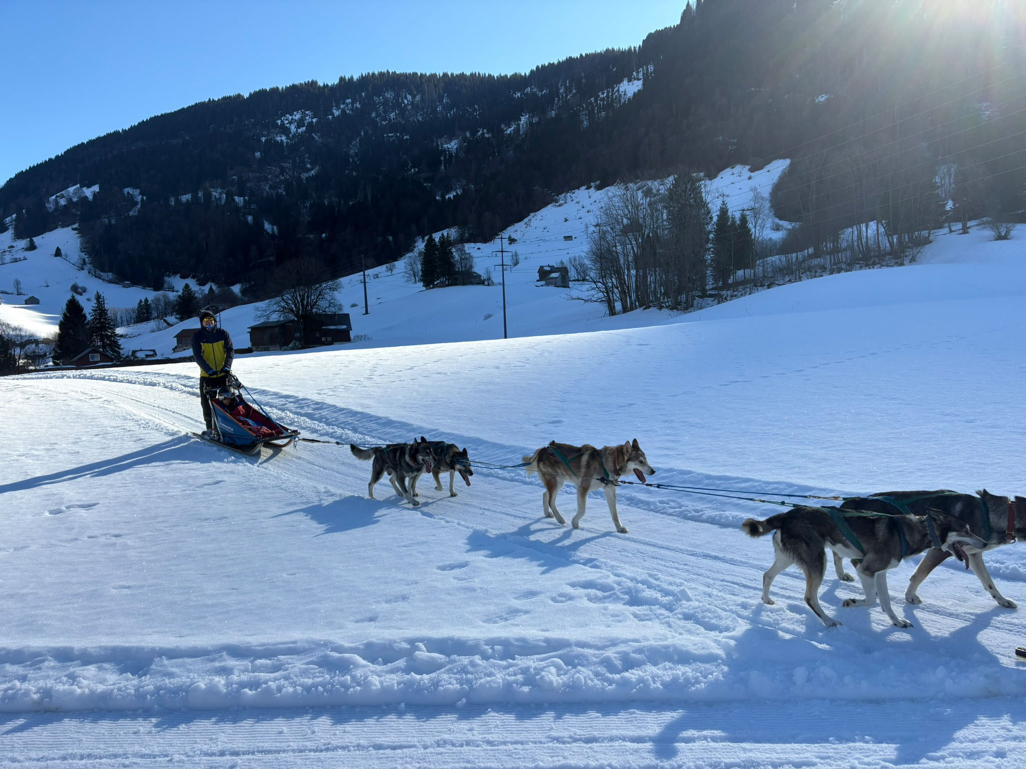 veranstaltungen-hundeschlitten-2026-blogbeitrag