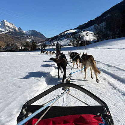 Rückblick Hundeschlitten-Fahrt 2026