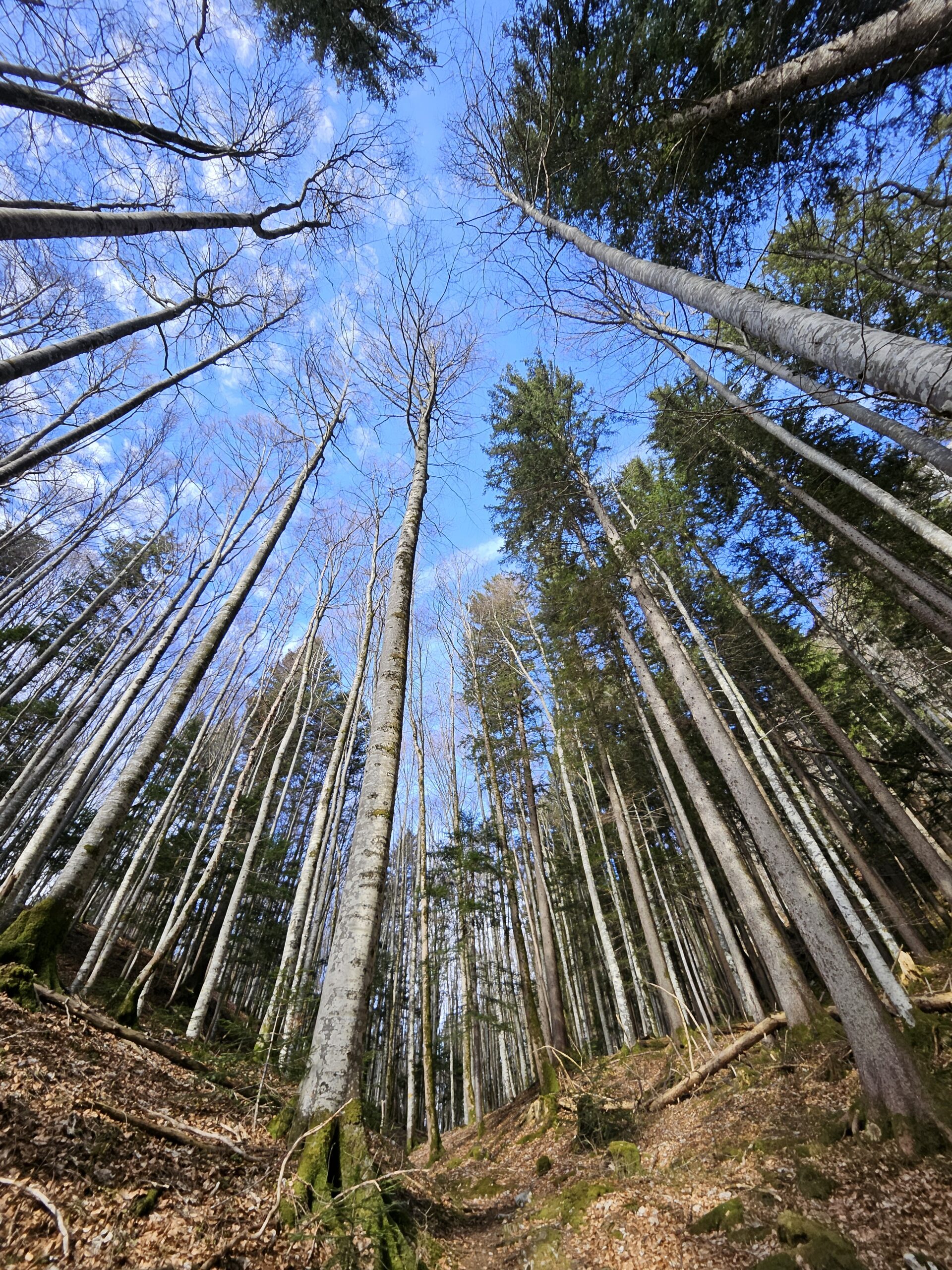 Update-Pilgerreise-Mai