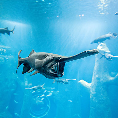 magazin-imago-freizeit-aquarium
